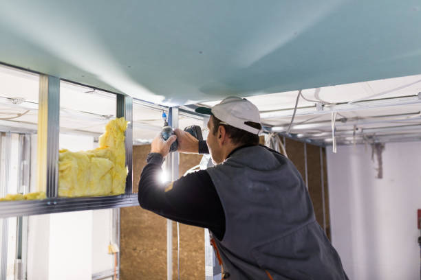 Types of Insulation We Offer in Auxvasse, MO