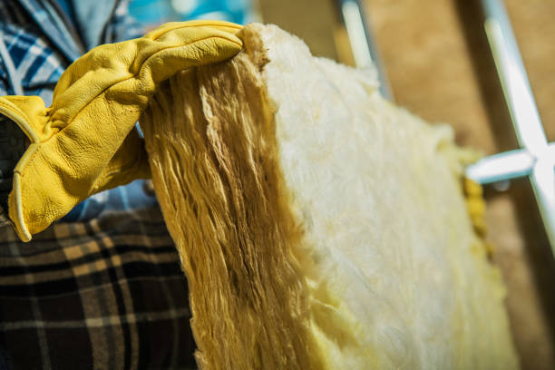 Best Spray Foam Insulation in Auxvasse, MO