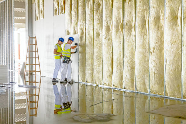 Best Specialized Insulation Services in Auxvasse, MO